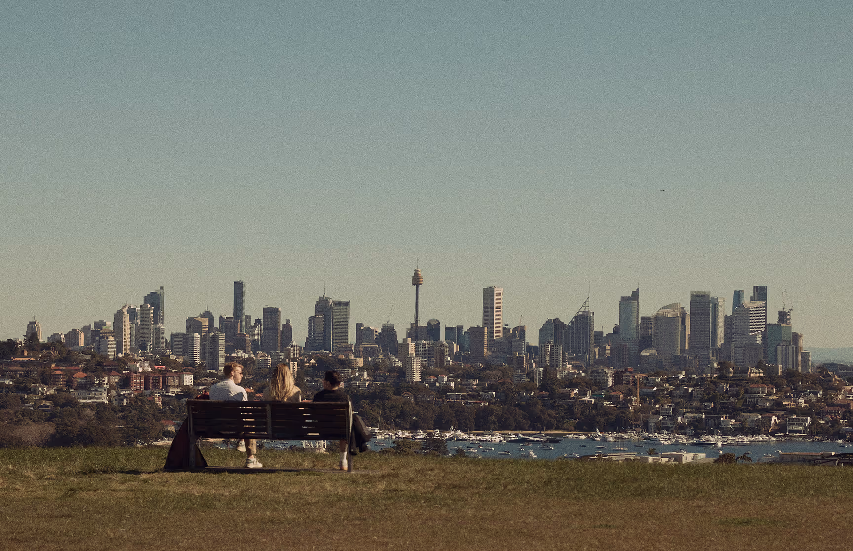 The Sydney skyline seen from a park in the eastern suburbs