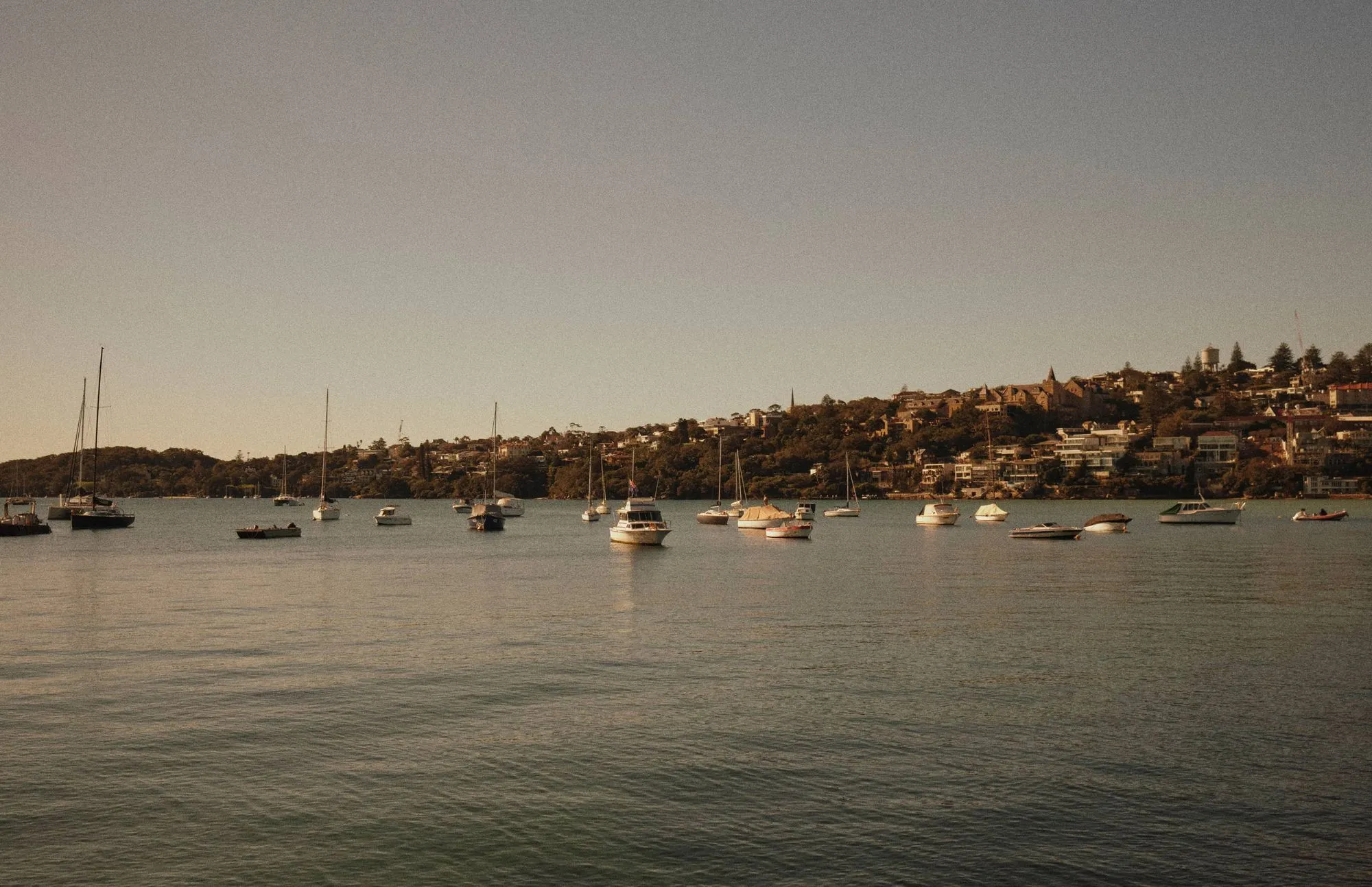Boats moored at Rose Bay at dusk, looking across the harbour